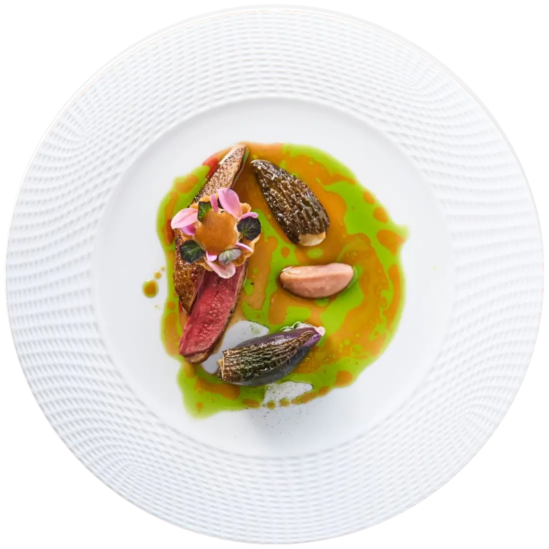 Signatuurgerecht van Antèns